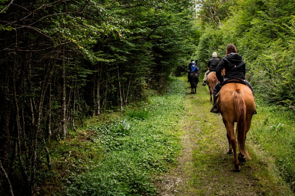 Cabalgata Baqueanos