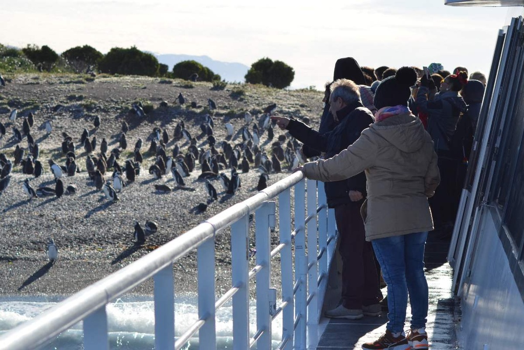 Navegación a Pingüinera