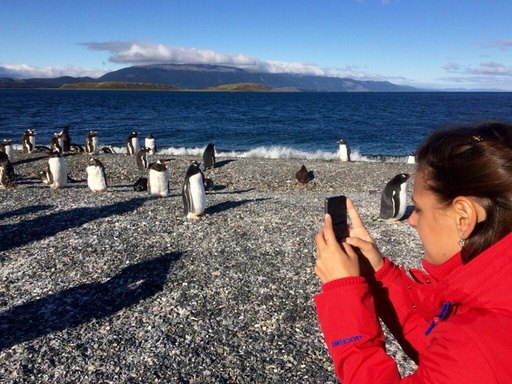 Descrubriendo el Canal Beagle